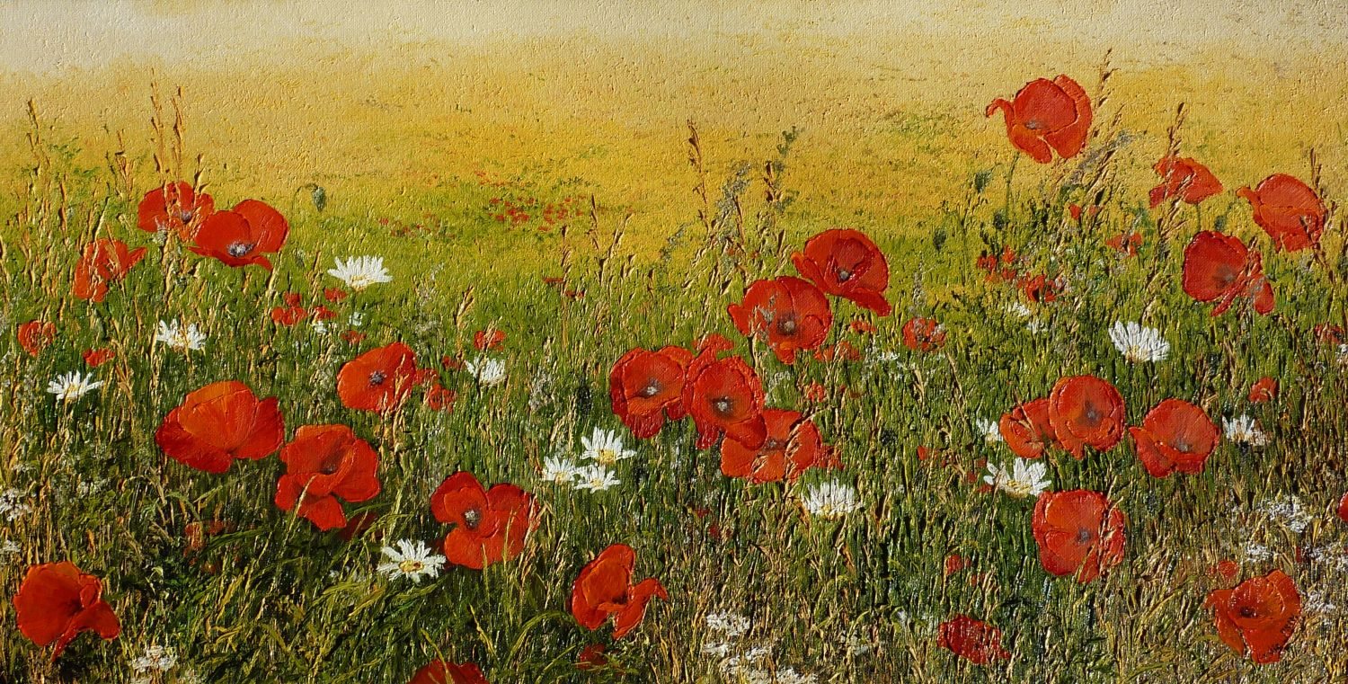 champs-de-coquelicots