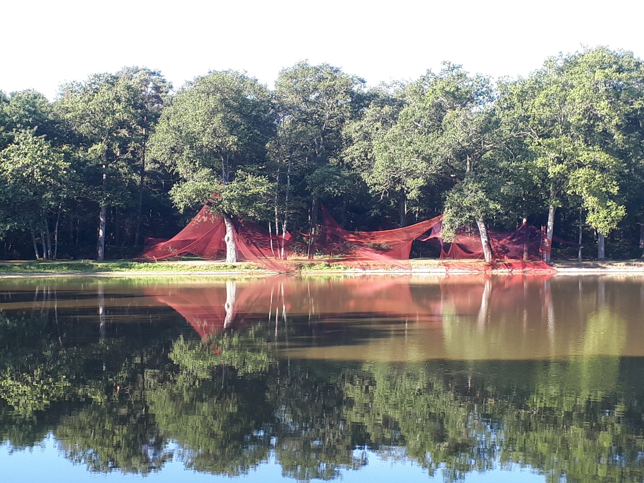 reflets-de-larchitecture-de-resilles-rouges-sur-le-lac-094737