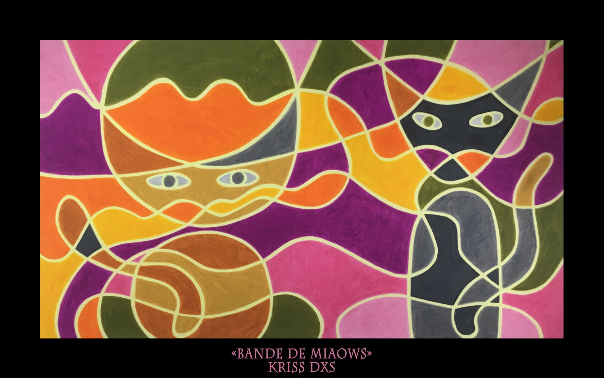 bande-de-miaows-fns