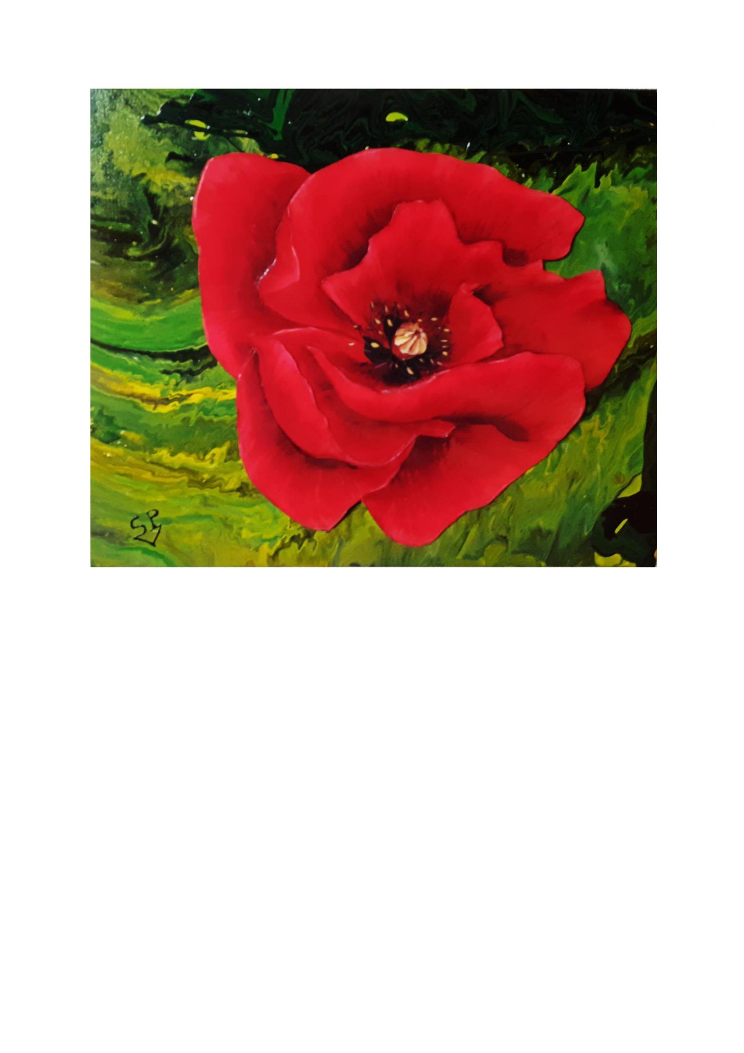 coquelicot-rouge-2