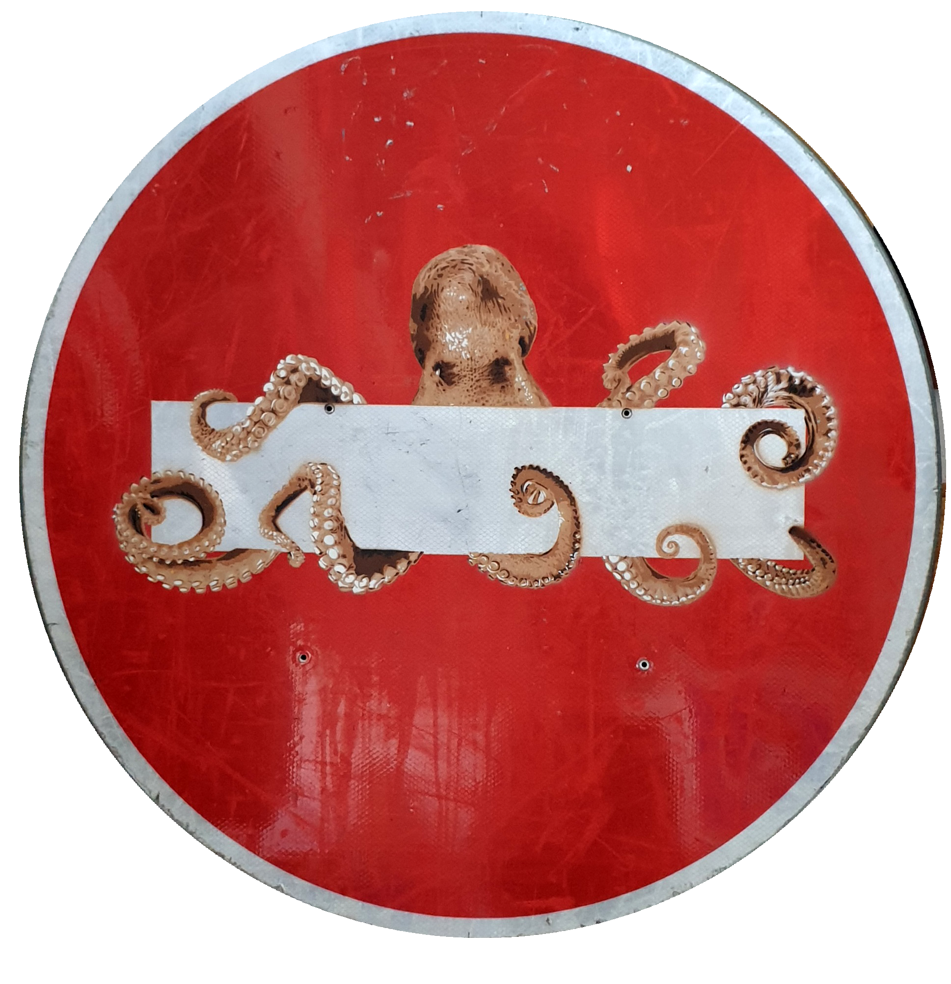 octopus-3