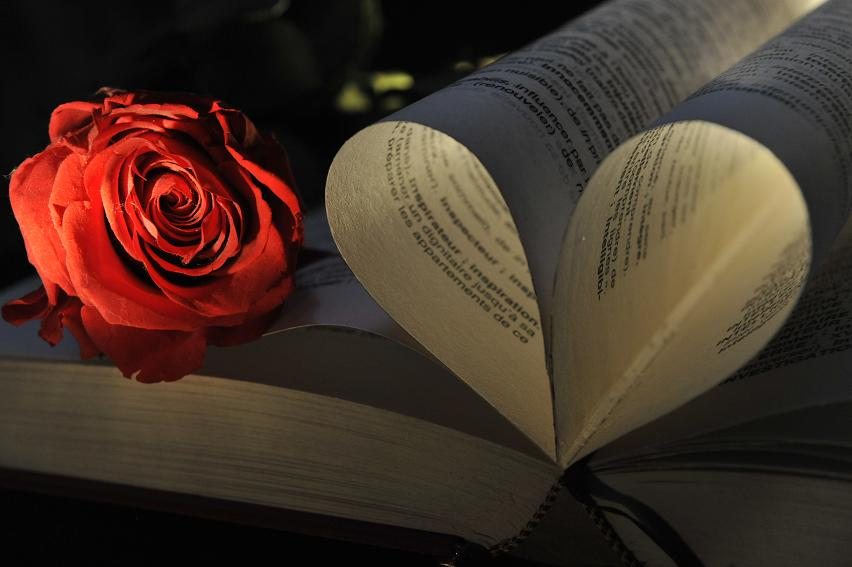 rose-and-book-photographie-sur-toile-90x120-2010-web_1194