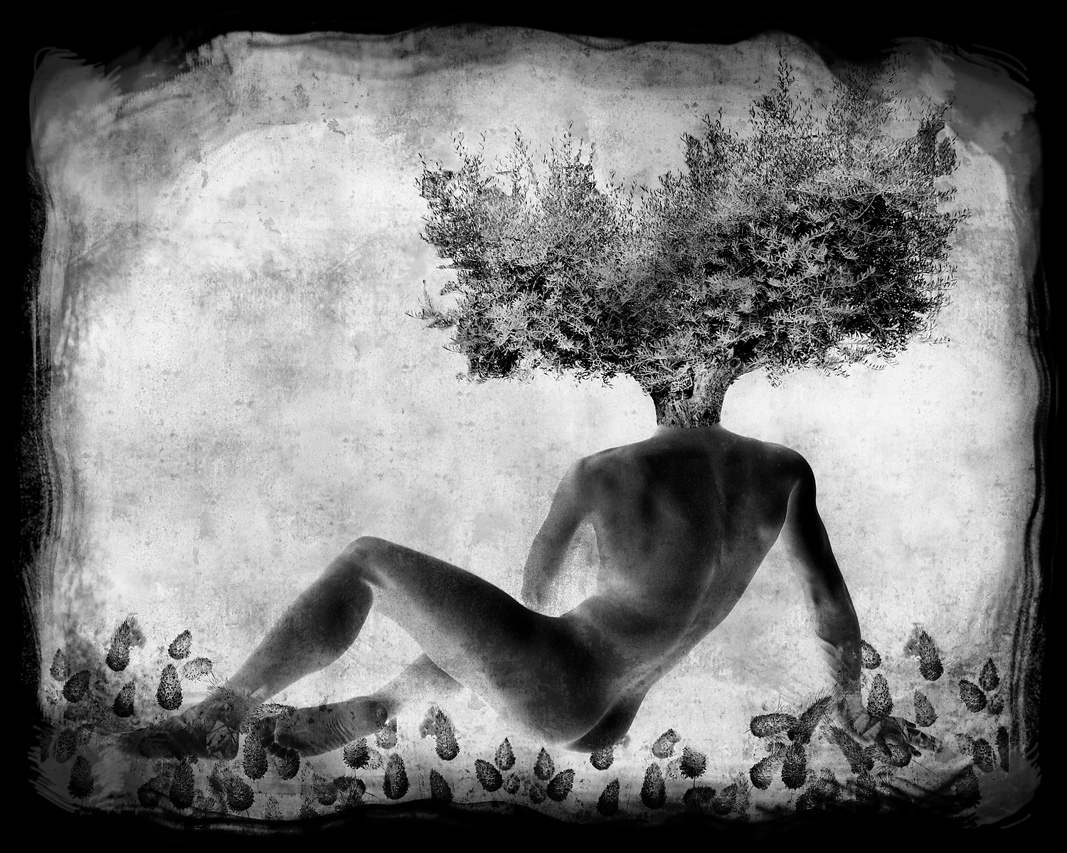 homme-arbre-ii