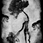 Homme arbre IV