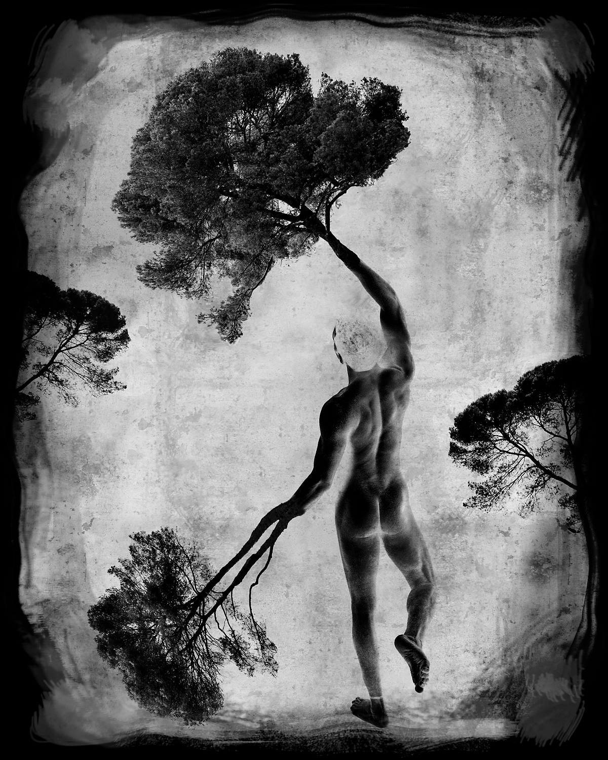 homme-arbre-iv