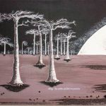 Baobabs en clair de lune par Mileg - MAGNIEN Michèle