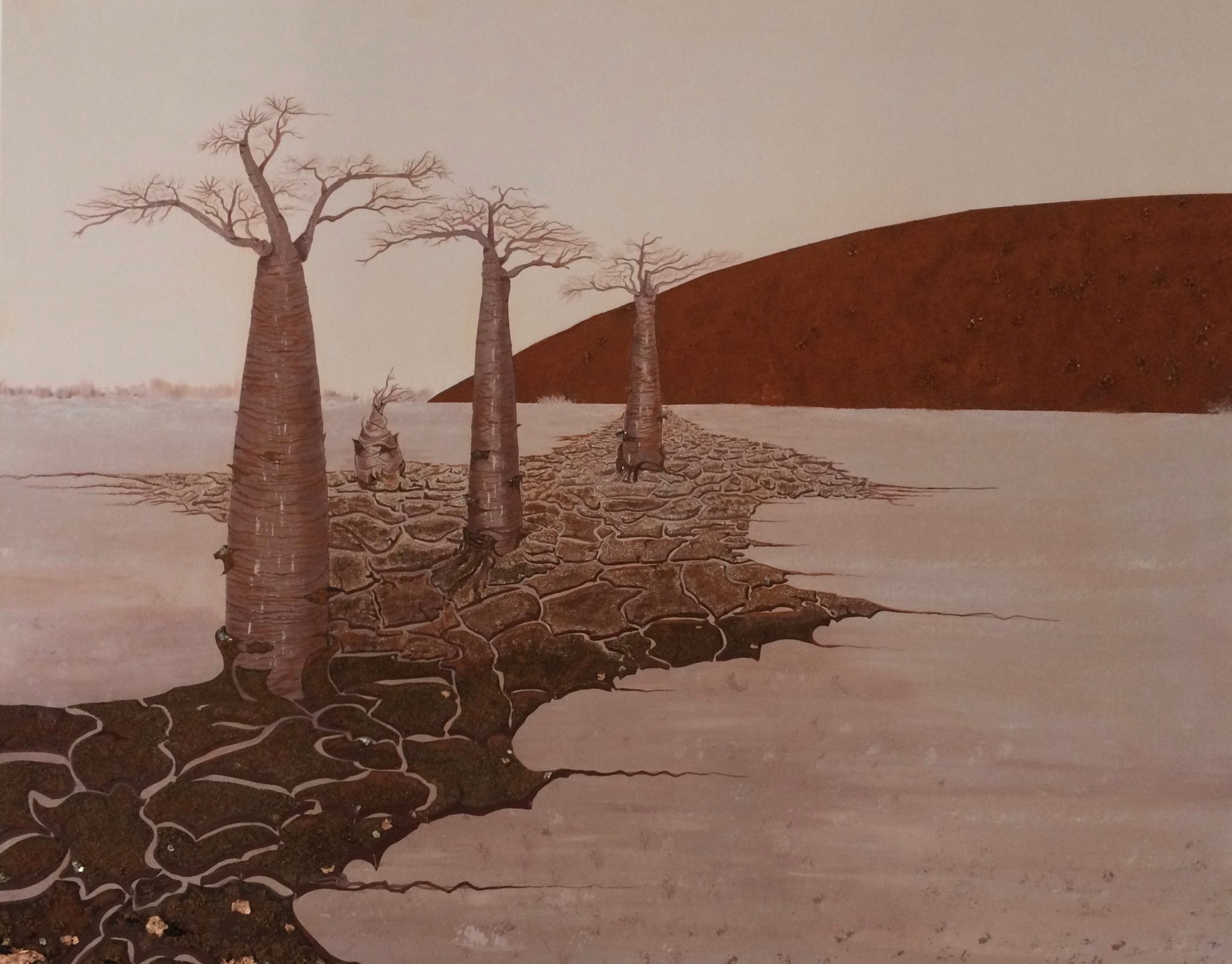 74-baobabs-en-terre-dechiree-survie