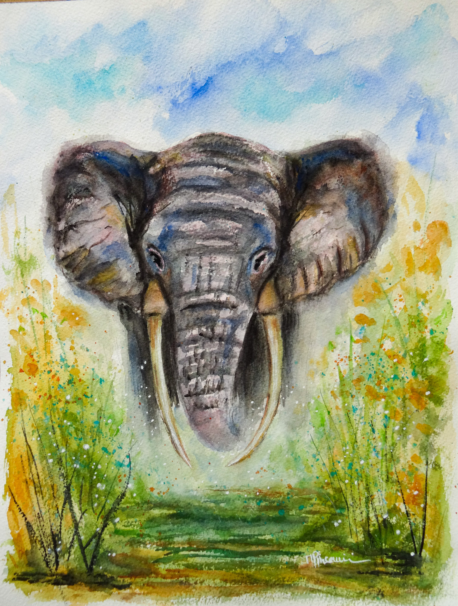 elephant-aquarelle